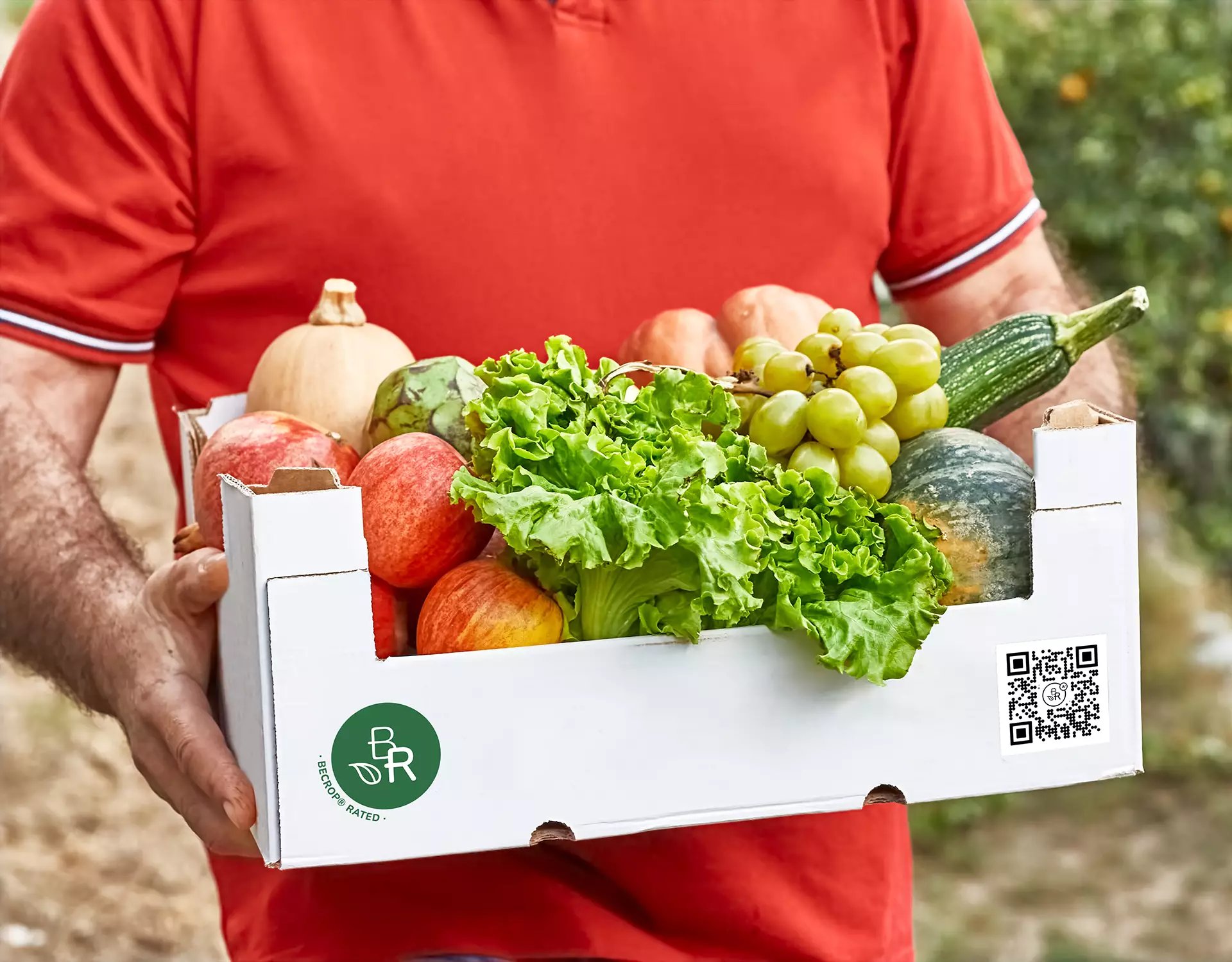 fruit_box