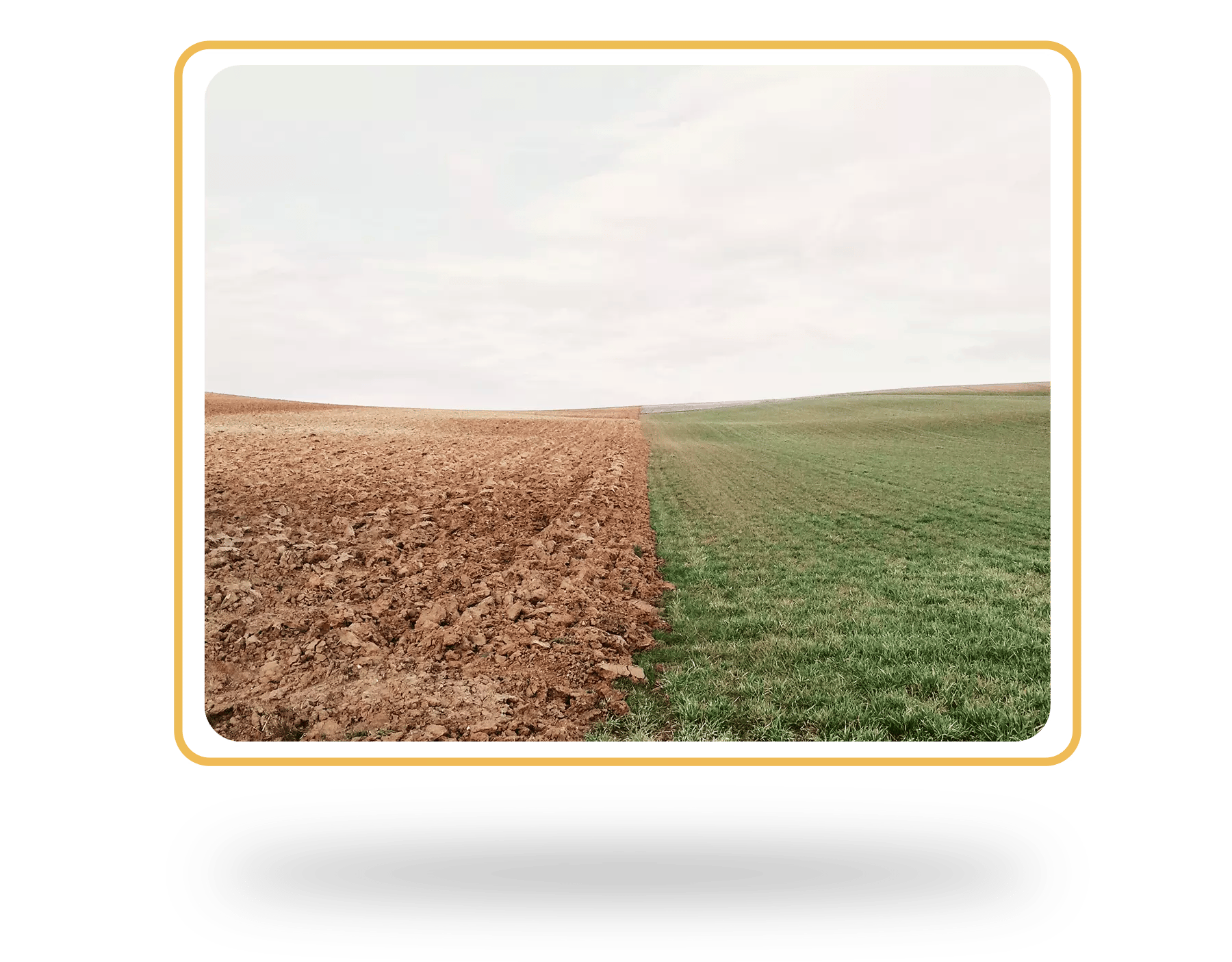 becrop-trials v6